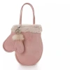 Autumn and winter 2024 new style fashionable lambskin fleece glove bag, retro matte suede fleece handbag, crossbody bag Item Picture